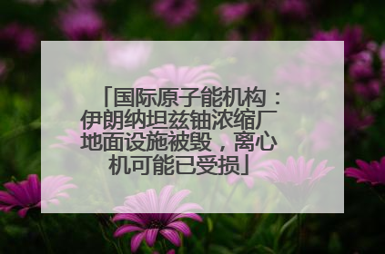 国际原子能机构：伊朗纳坦兹铀浓缩厂地面设施被毁，离心机可能已受损