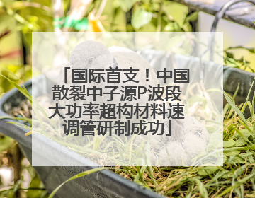 国际首支！中国散裂中子源P波段大功率超构材料速调管研制成功