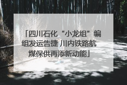 四川石化“小龙组”编组发运告捷 川内铁路航煤保供再添新动能
