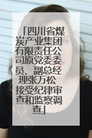 四川省煤炭产业集团有限责任公司原党委委员、副总经理张万松 接受纪律审查和监察调查