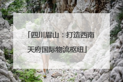 四川眉山：打造西南天府国际物流枢纽