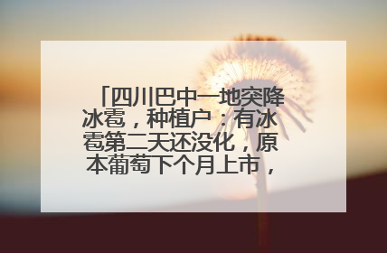 四川巴中一地突降冰雹，种植户：有冰雹第二天还没化，原本葡萄下个月上市，现在全被打落