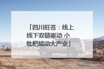 四川旺苍：线上线下双链驱动 小枇杷撬动大产业