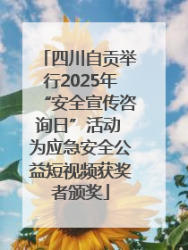 四川自贡举行2025年“安全宣传咨询日”活动 为应急安全公益短视频获奖者颁奖