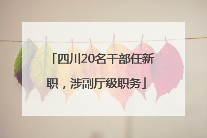 四川20名干部任新职，涉副厅级职务