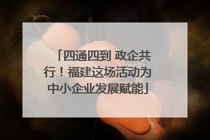 四通四到 政企共行！福建这场活动为中小企业发展赋能