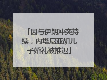因与伊朗冲突持续，内塔尼亚胡儿子婚礼被推迟