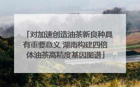 对加速创造油茶新良种具有重要意义 湖南构建四倍体油茶高精度基因图谱