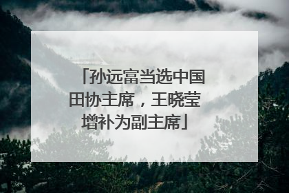 孙远富当选中国田协主席，王晓莹增补为副主席