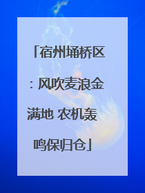 宿州埇桥区：风吹麦浪金满地 农机轰鸣保归仓