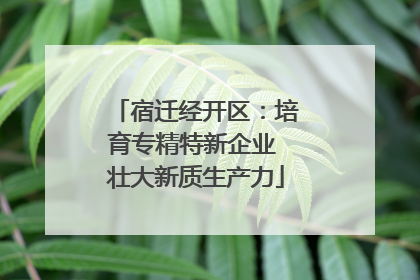 宿迁经开区：培育专精特新企业 壮大新质生产力
