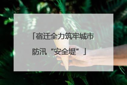 宿迁全力筑牢城市防汛“安全堤”