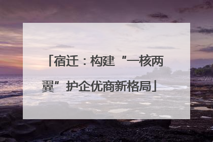 宿迁：构建“一核两翼”护企优商新格局