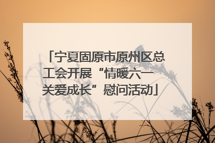 宁夏固原市原州区总工会开展“情暖六一 关爱成长”慰问活动