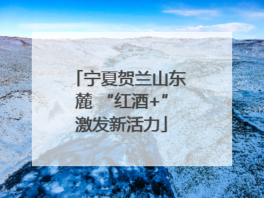 宁夏贺兰山东麓 “红酒+”激发新活力