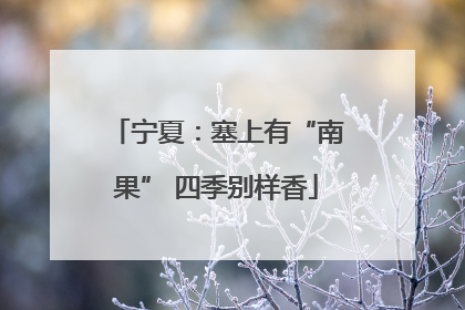 宁夏：塞上有“南果” 四季别样香