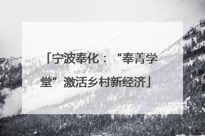 宁波奉化：“奉菁学堂”激活乡村新经济