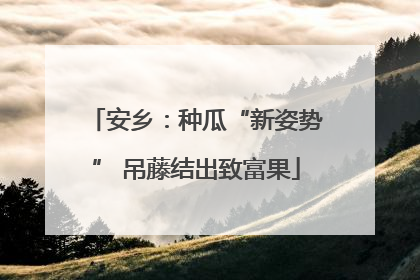 安乡：种瓜“新姿势” 吊藤结出致富果