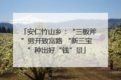 安仁竹山乡：“三板斧”劈开致富路 “新三宝”种出好“钱”景