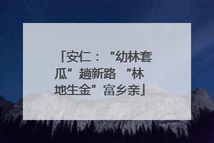 安仁：“幼林套瓜”趟新路 “林地生金”富乡亲