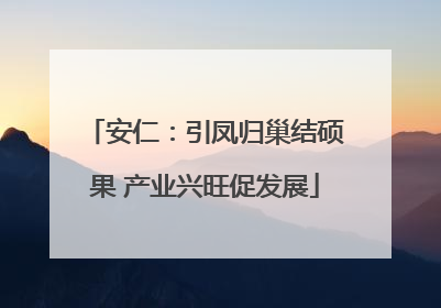 安仁：引凤归巢结硕果 产业兴旺促发展