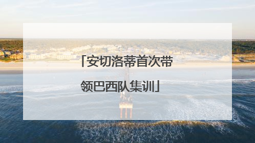安切洛蒂首次带领巴西队集训