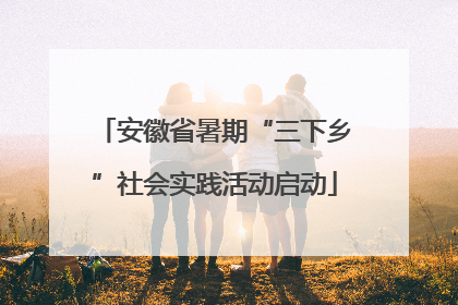 安徽省暑期“三下乡”社会实践活动启动