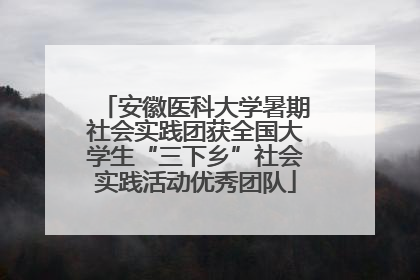 安徽医科大学暑期社会实践团获全国大学生“三下乡”社会实践活动优秀团队