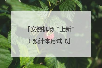 安徽机场“上新”！预计本月试飞