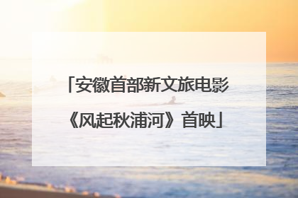 安徽首部新文旅电影《风起秋浦河》首映