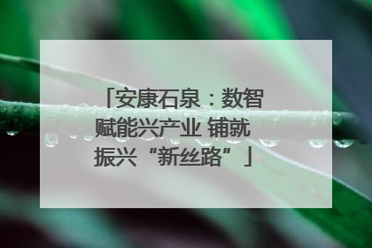 安康石泉：数智赋能兴产业 铺就振兴“新丝路”