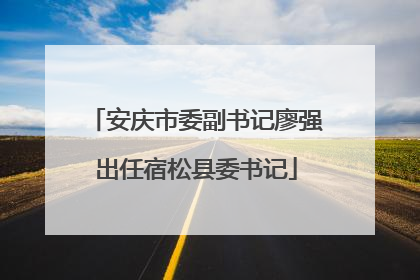 安庆市委副书记廖强出任宿松县委书记