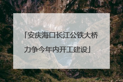 安庆海口长江公铁大桥力争今年内开工建设