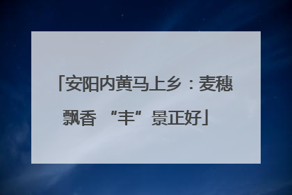 安阳内黄马上乡：麦穗飘香 “丰”景正好