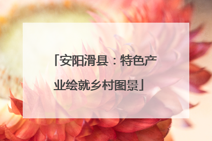 安阳滑县：特色产业绘就乡村图景