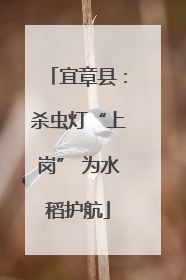 宜章县：杀虫灯“上岗” 为水稻护航