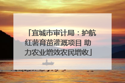 宜城市审计局：护航红薯育苗灌溉项目 助力农业增效农民增收