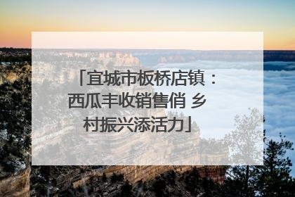 宜城市板桥店镇：西瓜丰收销售俏 乡村振兴添活力