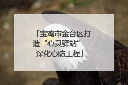 宝鸡市金台区打造“心灵驿站” 深化心防工程