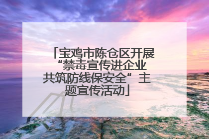 宝鸡市陈仓区开展“禁毒宣传进企业 共筑防线保安全”主题宣传活动