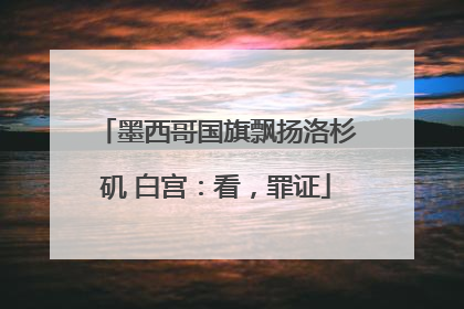墨西哥国旗飘扬洛杉矶 白宫：看，罪证