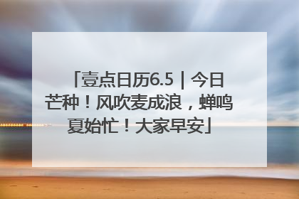 壹点日历6.5｜今日芒种！风吹麦成浪，蝉鸣夏始忙！大家早安
