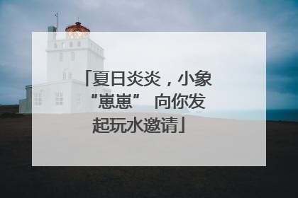 夏日炎炎，小象“崽崽” 向你发起玩水邀请