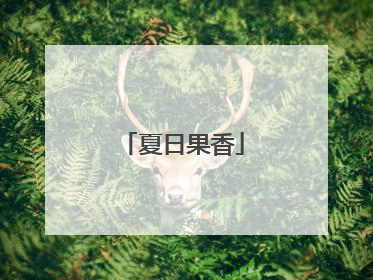 夏日果香