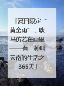 夏日限定“黄金雨”，耿马仿若在画里——有一种叫云南的生活之365天