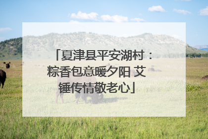 夏津县平安湖村：粽香包意暖夕阳 艾锤传情敬老心