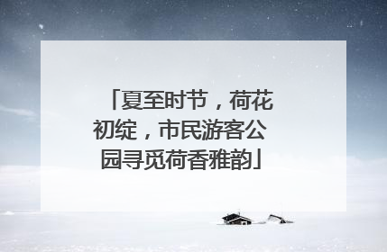 夏至时节，荷花初绽，市民游客公园寻觅荷香雅韵