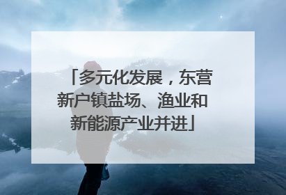 多元化发展，东营新户镇盐场、渔业和新能源产业并进