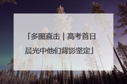 多图直击｜高考首日 晨光中他们背影坚定