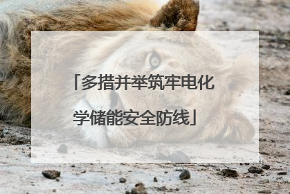 多措并举筑牢电化学储能安全防线